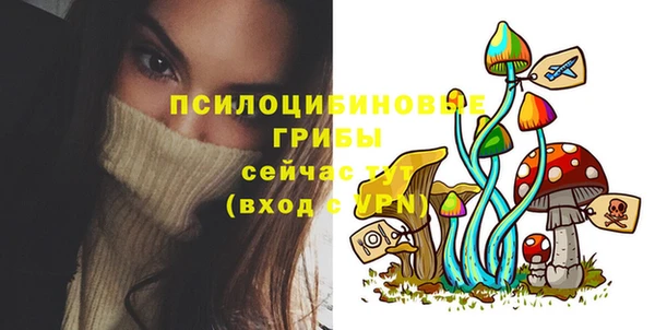 МДПВ Алзамай
